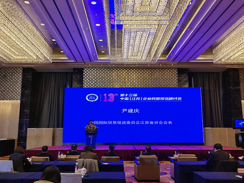 第十三届中国 江苏 企业跨国投资研讨会在南京举办